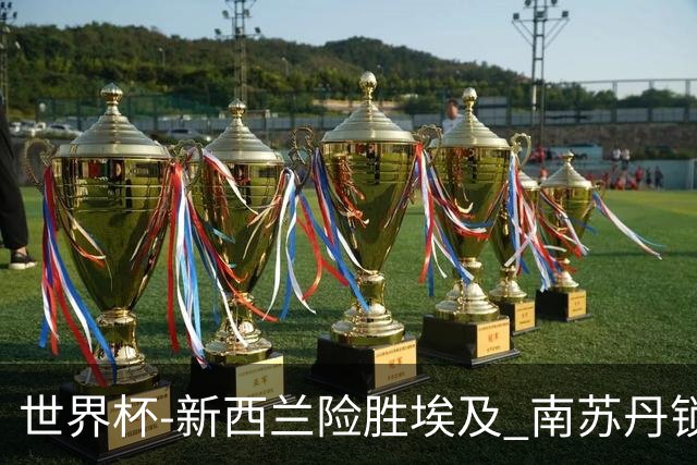 世界杯-新西兰险胜埃及 南苏丹锁定奥运创历史